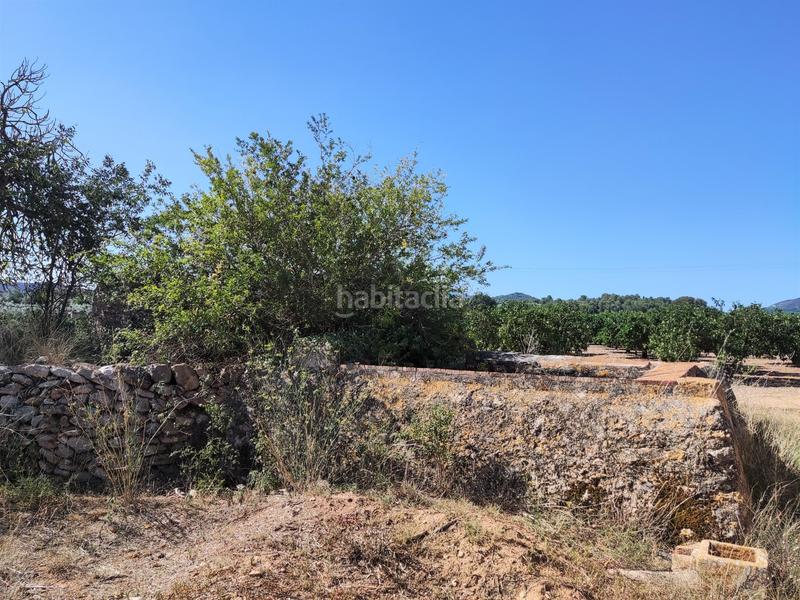 Foto d42ebadf-ee29-462a-b7d5-f2f25d2ebb36. Finca rústica en venta finca rústica con casita en Masdenverge