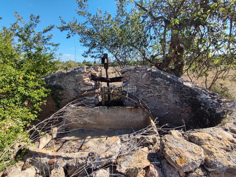 Foto e327018e-50ad-4978-925c-3dcb0e324b22. Finca rústica en venta finca rústica con casita en Masdenverge