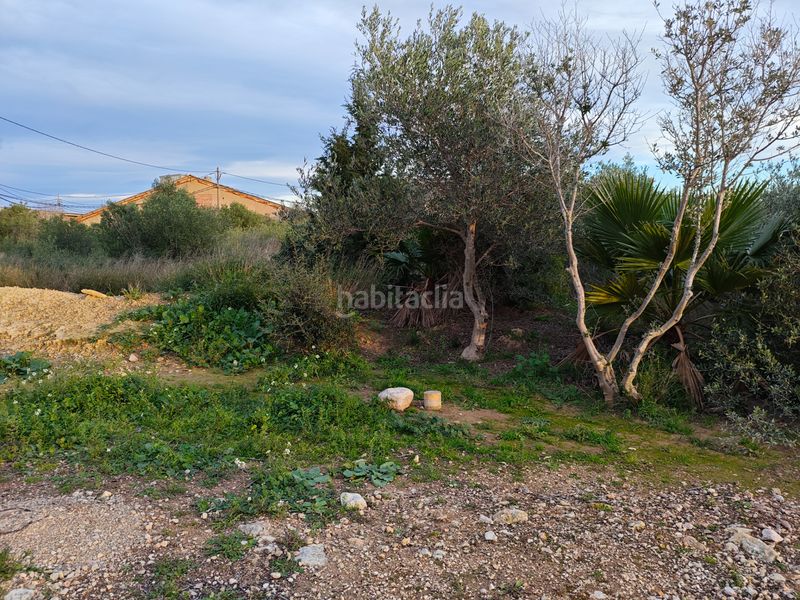 Foto 70635978-76b8-4bf4-bdbc-8b7eff314eef. Nau industrial a Aldea (L´)