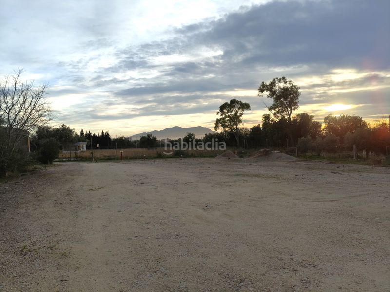 Foto 7abdc217-a2be-43b9-9a0d-47b368b9eb0b. Nau industrial a Aldea (L´)