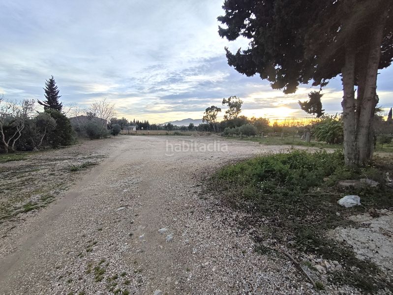 Foto 8eb855ca-460f-4939-9b7c-a005cdef03d5. Nau industrial a Aldea (L´)