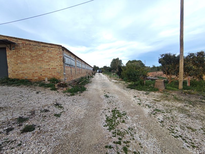 Foto 8ecfe184-a086-40cf-aa2b-5c12fccd5cf6. Nau industrial a Aldea (L´)