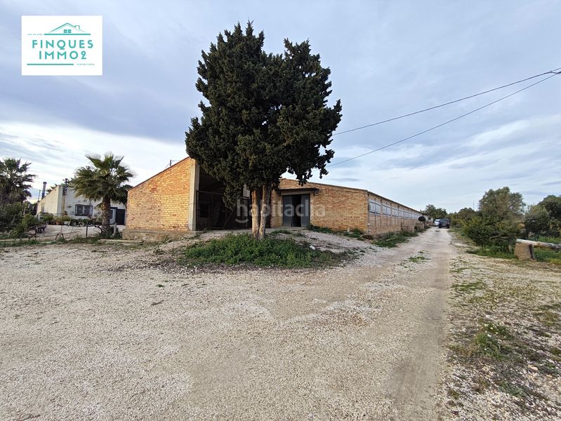 Foto b84f0553-03f7-41ae-abd6-74e5dbf0e1fa. Nau industrial a Aldea (L´)