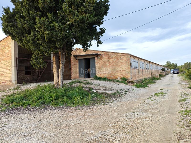 Foto cf6d55c3-679c-48e9-b0d7-8bd57fb3e72a. Nau industrial a Aldea (L´)