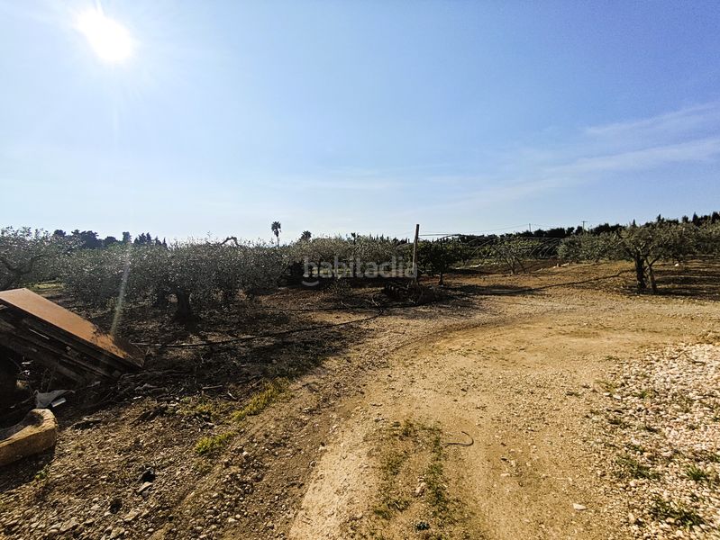 Foto a37403e1-07e9-4806-be3b-4aae1218a89c. Finca rústica a Camarles