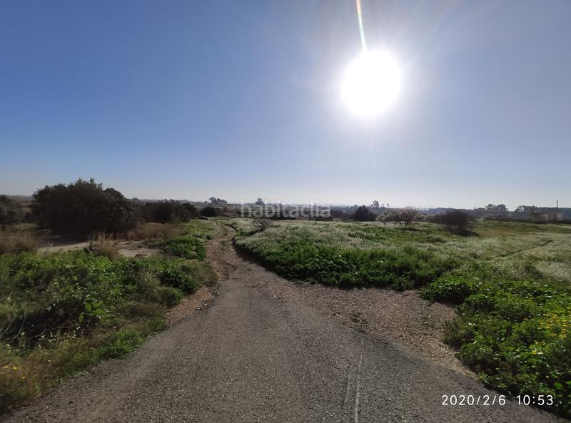Foto 0f41bf1a-e164-4ff4-a71e-be7b41cb58af. Terreny residencial a Nord La Ràpita