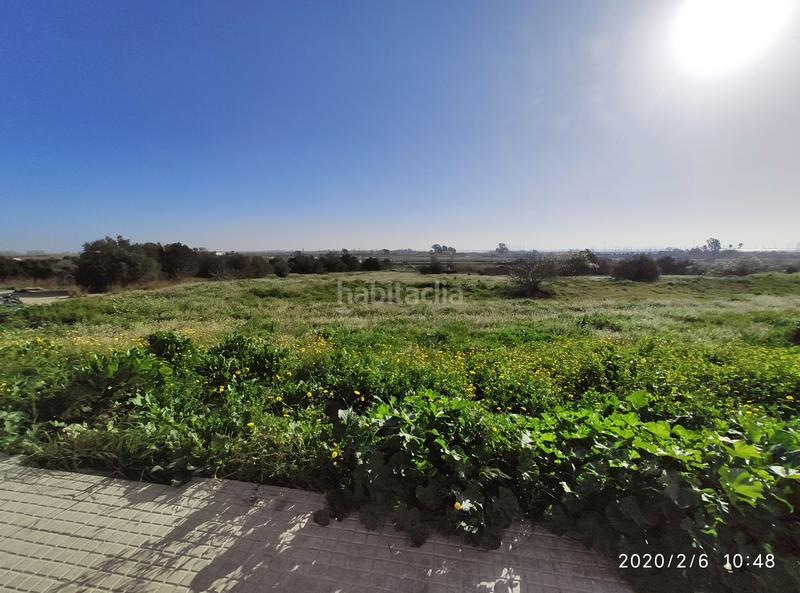 Foto 495b605f-9e26-4294-9170-a0dc8f1b765f. Terreny residencial a Nord La Ràpita