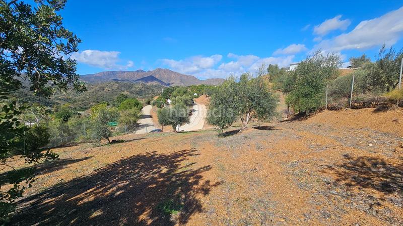 Foto a78fe653-08f1-443f-b918-449e0eba2c2e. Fondo rustico in Mijas pueblo Mijas