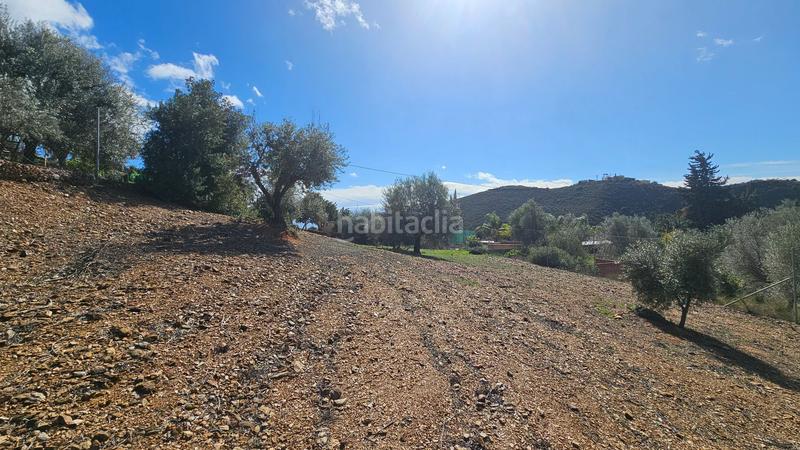 Foto abacd1cf-1c34-452e-a90e-be0a6101e57b. Fondo rustico in Mijas pueblo Mijas