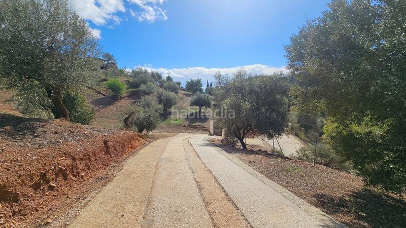 Foto bfbbf8a7-9814-4cbe-910a-ee96d569e680. Fondo rustico in Mijas pueblo Mijas