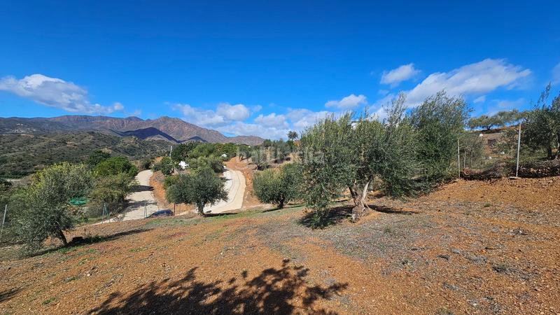 Foto c8269fc0-6312-4d8a-aa4b-35227aabca0e. Fondo rustico in Mijas pueblo Mijas