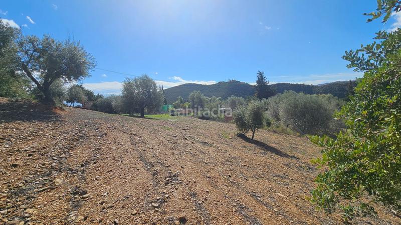 Foto cc3d7b92-d31b-418d-b844-e05702e4b8dd. Fondo rustico in Mijas pueblo Mijas