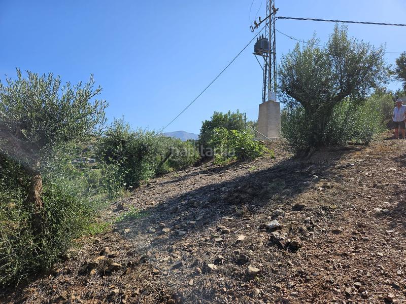 Foto d86a5623-3fc3-43b4-a931-410833169e6c. Fondo rustico in Mijas pueblo Mijas