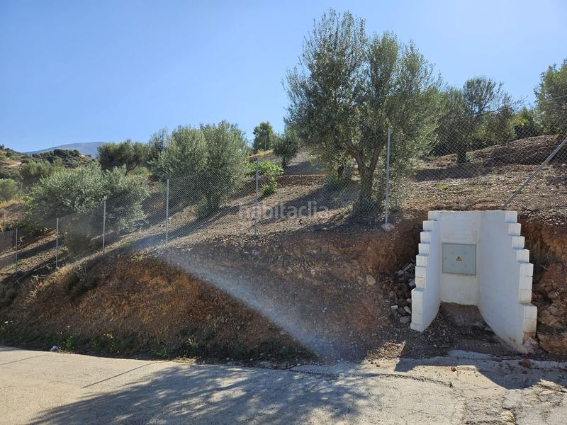 Foto e37d938a-282f-4655-8048-067394fa630d. Fondo rustico in Mijas pueblo Mijas