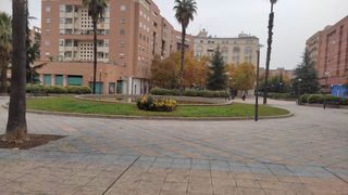 Business premise  Calle godofredo ortega y muñoz