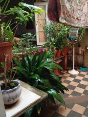 Etagenwohnung  Calle benegas