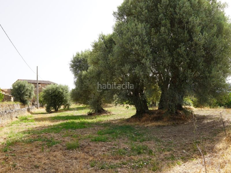 Foto 33d452b9-c135-4743-97ce-7cb06b914100. Terreno residenziale in camino casa olivera(lecina) 1 in Bárcabo