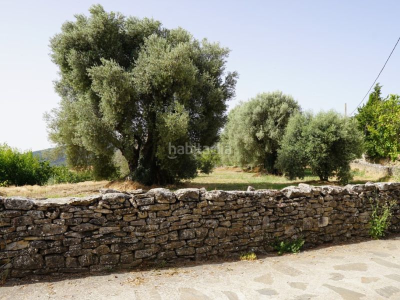 Foto ae13f71e-aab1-41ba-9a86-d60bd74d4780. Terreno residenziale in camino casa olivera(lecina) 1 in Bárcabo