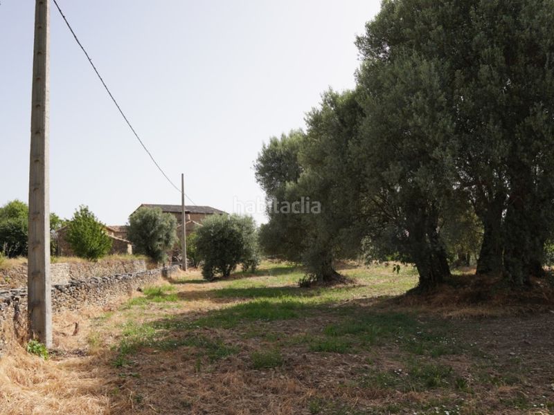 Foto c48825a1-414f-4c38-9b40-b08a5b0bdbae. Terreno residenziale in camino casa olivera(lecina) 1 in Bárcabo