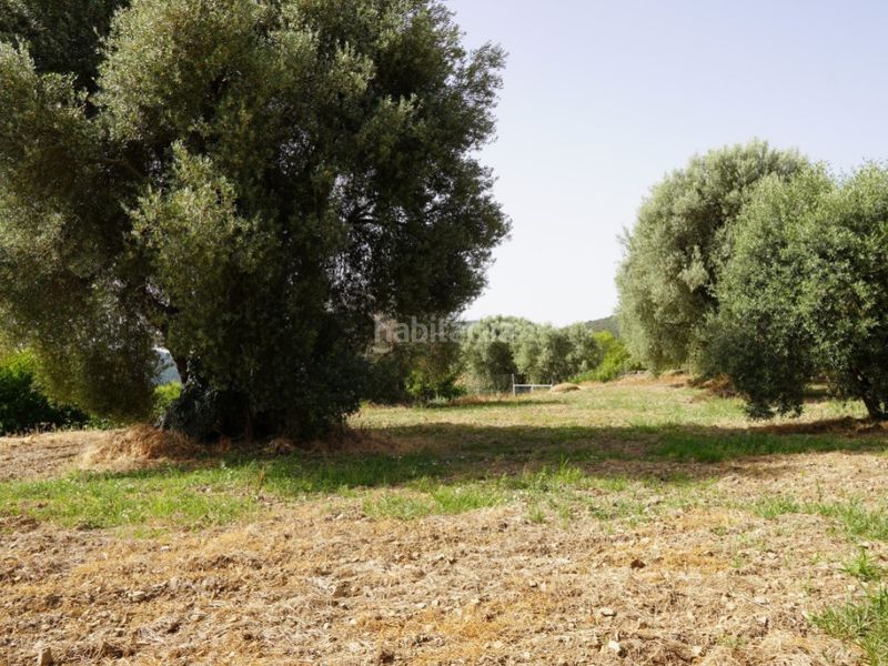 Foto d8cbeb33-b603-4a28-af27-b680ba7a5937. Terreno residenziale in camino casa olivera(lecina) 1 in Bárcabo