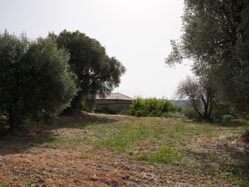 Foto e476b087-3f19-40c6-8205-601d017dfe52. Terreno residenziale in camino casa olivera(lecina) 1 in Bárcabo