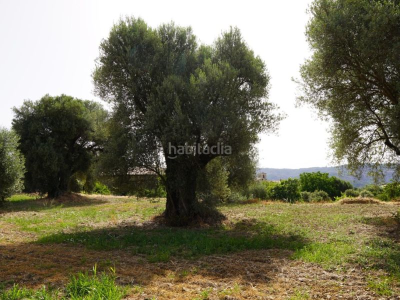 Foto fe1d0a04-391c-415d-8ab7-c2609a1b2d53. Terreno residenziale in camino casa olivera(lecina) 1 in Bárcabo