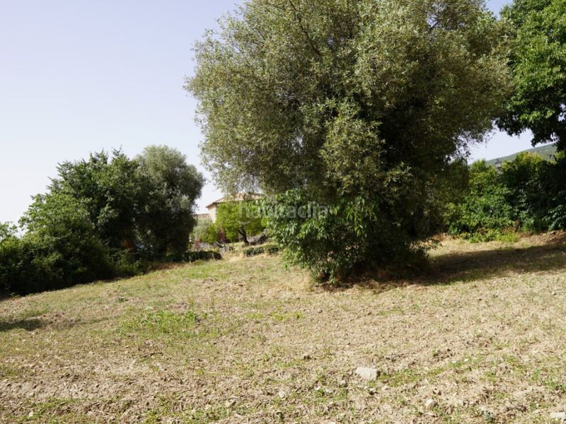 Foto b429f9bd-3b6c-4194-b47c-571efcb1c7f5. Terreno residenziale in calle entrada (lecina) 1 in Bárcabo