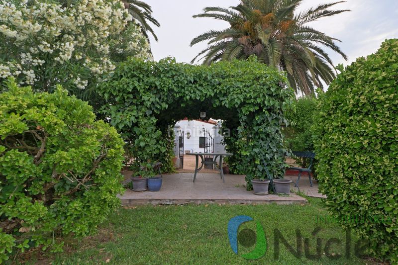 Foto 35893e4f-bd61-4b37-be15-41929632254a. Finca rústica a Olivenza