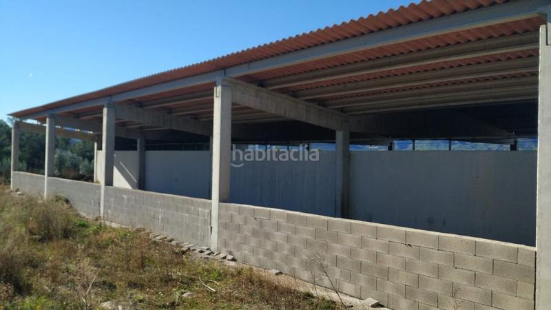 Foto 14370740-5c04-4f70-9a60-6fd6f5091160. Masía ocasion gran finca rustica con vivienda, almacenes , nave e instalaciones de ganado en Tivissa