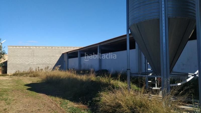Foto 30c49f91-c991-486e-8b8a-8abe88739135. Masía ocasion gran finca rustica con vivienda, almacenes , nave e instalaciones de ganado en Tivissa