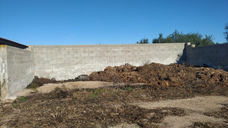 Foto 42f3be0a-2c83-4744-aca7-819699c24543. Masía ocasion gran finca rustica con vivienda, almacenes , nave e instalaciones de ganado en Tivissa