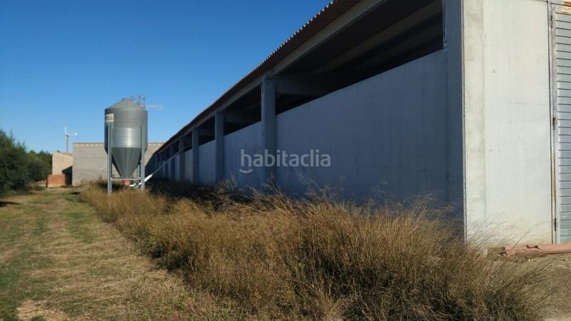 Foto 68180b26-dd9a-435b-ae73-bf924054ef2a. Masía ocasion gran finca rustica con vivienda, almacenes , nave e instalaciones de ganado en Tivissa