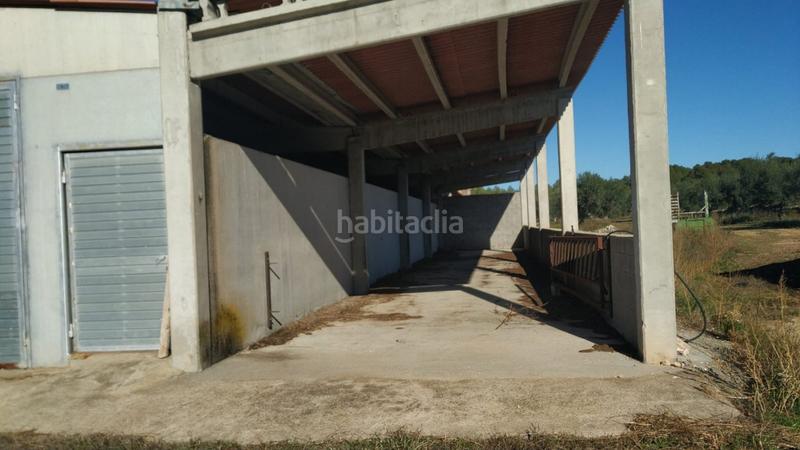 Foto 70cdde41-7337-4028-9d01-11f023d708c3. Masía ocasion gran finca rustica con vivienda, almacenes , nave e instalaciones de ganado en Tivissa