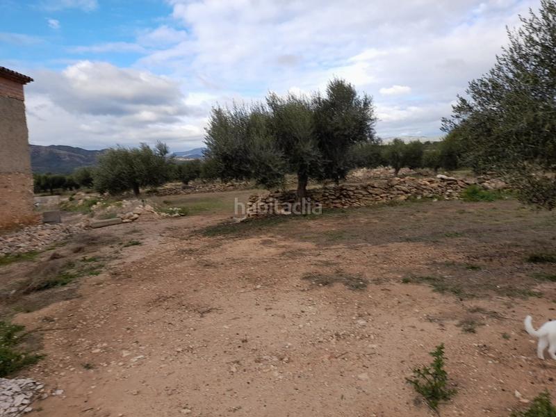 Foto 74a187ae-7fc9-4167-b60b-fe9f6f5d4beb. Masía ocasion gran finca rustica con vivienda, almacenes , nave e instalaciones de ganado en Tivissa