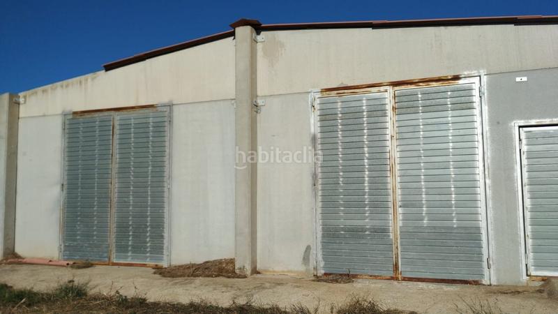 Foto e16f9324-bc21-4f67-99e8-e72605836fe0. Masía ocasion gran finca rustica con vivienda, almacenes , nave e instalaciones de ganado en Tivissa