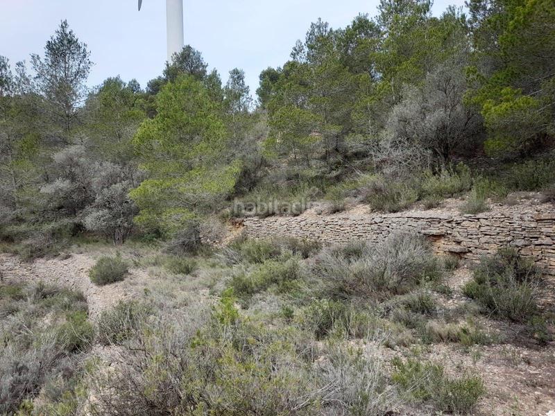 Foto b22dfa90-161b-41b8-95d9-273e42e9a72e. Terreno residencial finca rustica en mora debre con masia de piedra seca en Móra d´Ebre