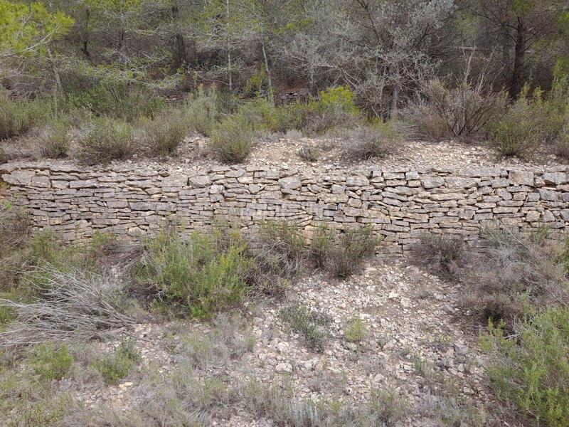 Foto c394a46e-69cf-4c05-af49-49ba4011a0bb. Terreno residencial finca rustica en mora debre con masia de piedra seca en Móra d´Ebre
