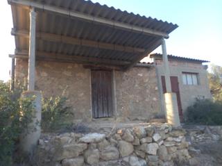 Terreno residencial en Flix. Oportunida finca agricola en flix  ribera debre