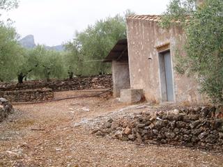 Masia a Perelló (El). Esplendida finca de regadio en el perello.