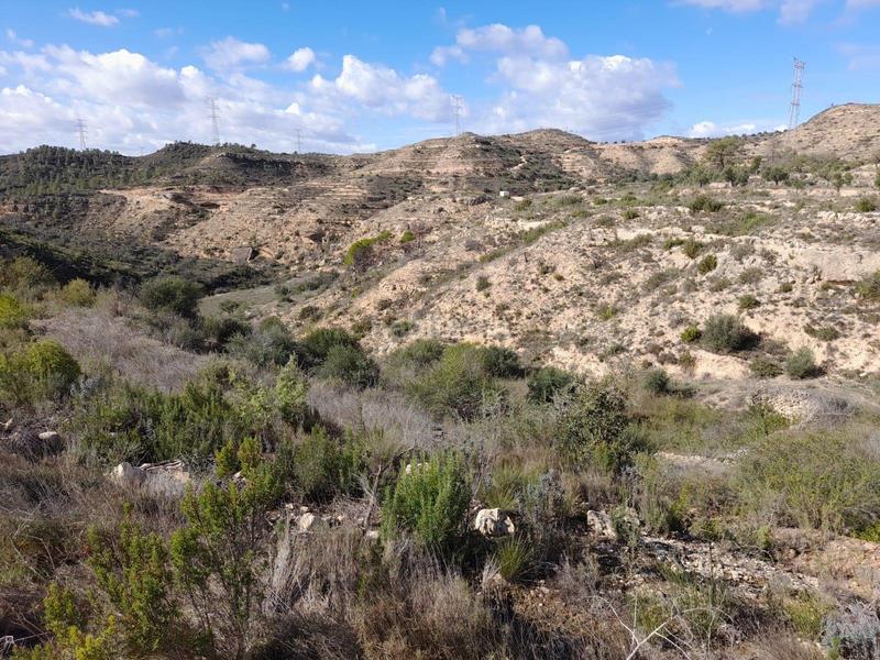 Foto 2acb3dc2-2cd0-4942-9701-93196a99a7b5. Propriété dans Vinebre