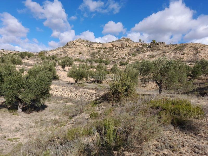 Foto 5c420da9-cbce-4f08-8d99-0a6bb7e31efe. Propriété dans Vinebre