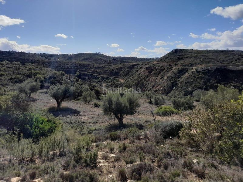 Foto 65526ba5-e42d-4dcf-bc31-918b5bad36ce. Propriété dans Vinebre