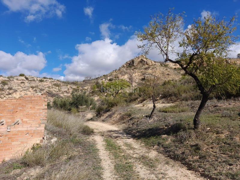 Foto 67b2cf93-4955-43b3-a4b4-3ba17253e932. Propriété dans Vinebre