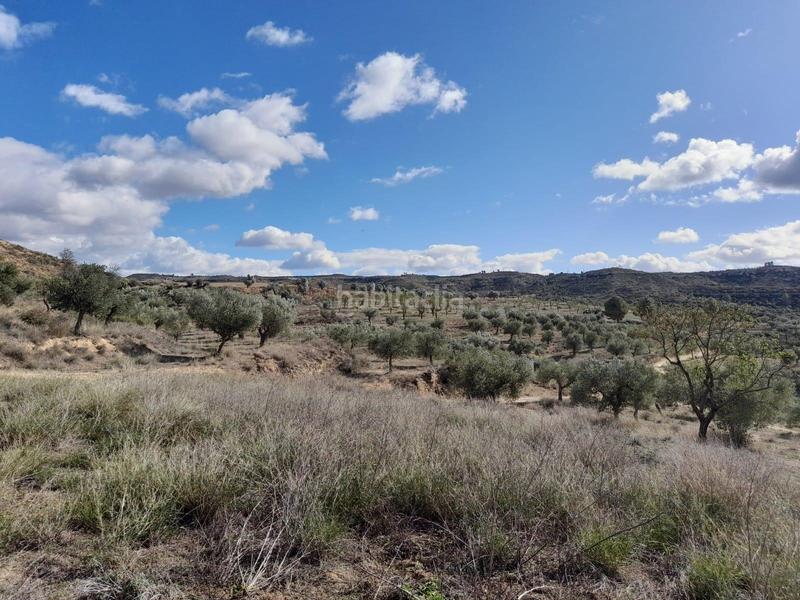 Foto 8aa54a94-5882-4bb3-8d2d-606f21251655. Propriété dans Vinebre