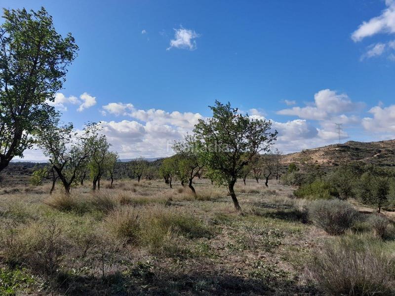 Foto 8c9c6992-0934-4705-a378-2acfd305d04b. Propriété dans Vinebre