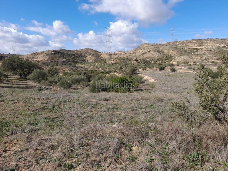 Foto 8f7f8ba4-9eaa-4842-87d9-b0ab5bc8e3d2. Propriété dans Vinebre