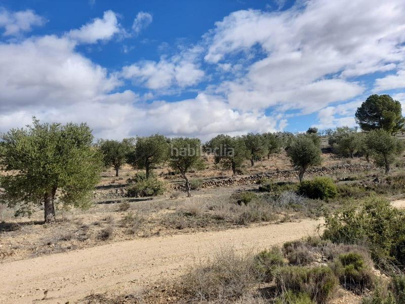 Foto be7f9bb7-c1fc-45f6-a36f-4c45be315081. Propriété dans Vinebre