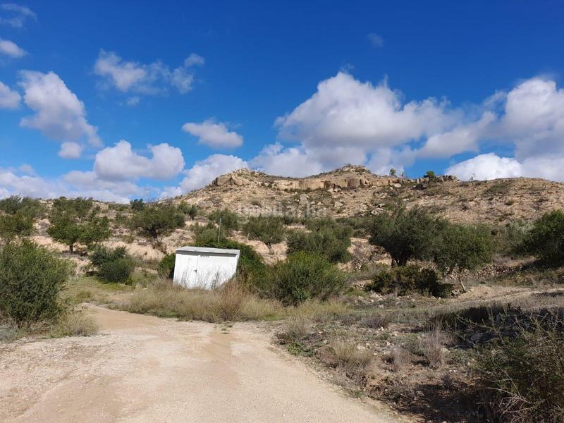 Foto d0343ad0-273c-47fb-a836-263d747e23d5. Propriété dans Vinebre