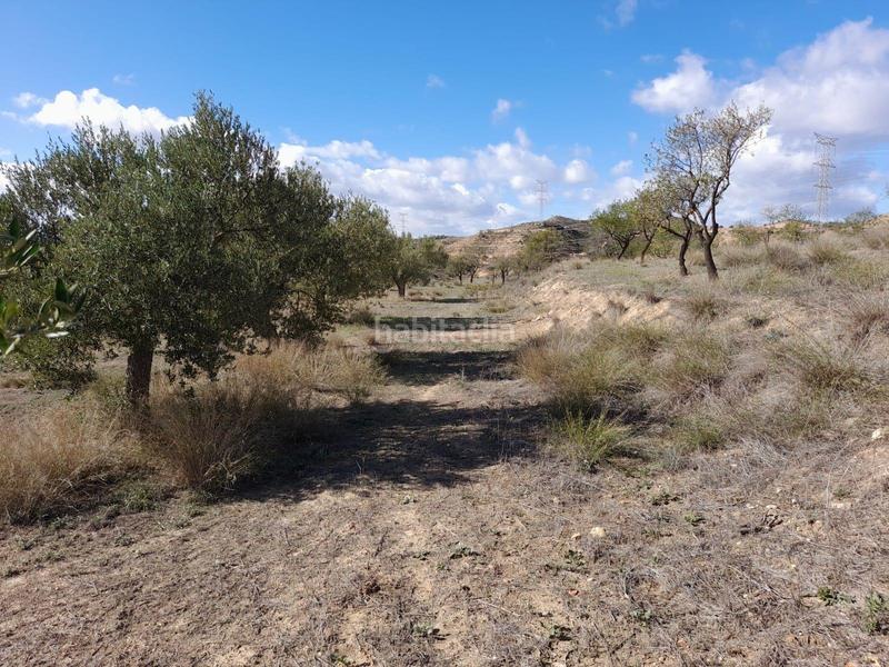 Foto e7786b9b-1a84-4b8c-badb-821b983cabf7. Propriété dans Vinebre