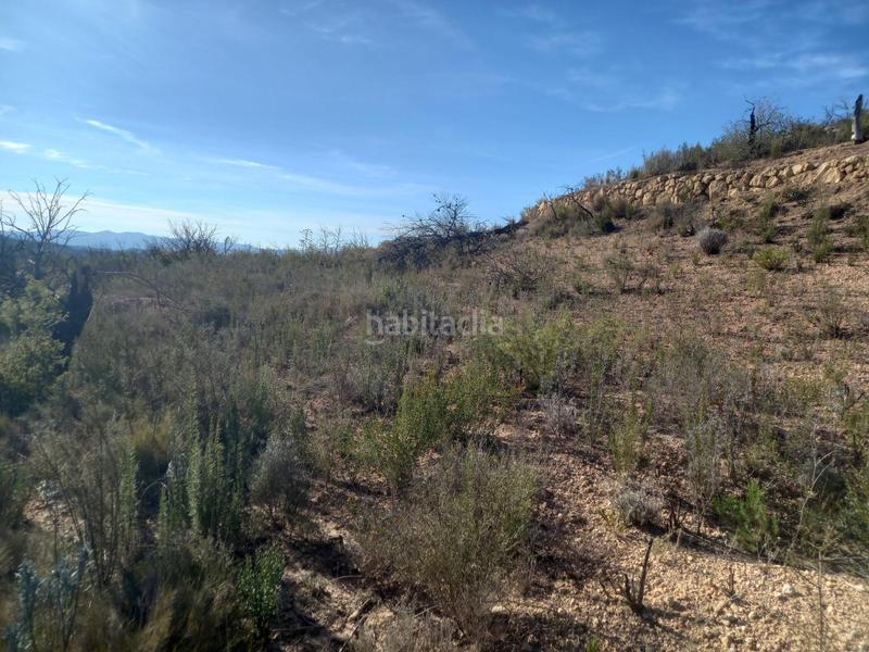 Foto 4e4f2408-cc19-486c-bb7a-ea58b39bb9b3. Finca rústica oportunidad finca rustica con agua de 18 has en Flix